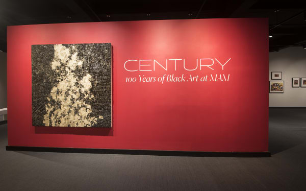 Installation view of Century: 100 Years of Black Art at the Montclair Art Museum