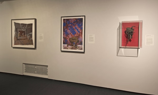 Installation view of Century: 100 Years of Black Art at the Montclair Art Museum