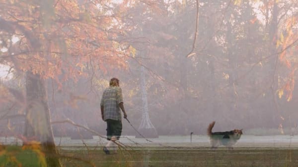 Kuimeaux's Misty Morning Walk