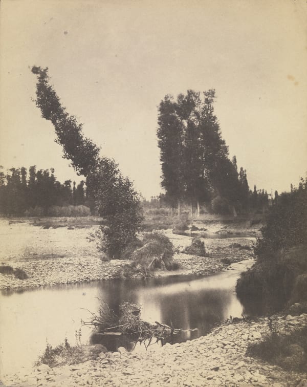 André Giroux, Study of Trees, France, c. 1853