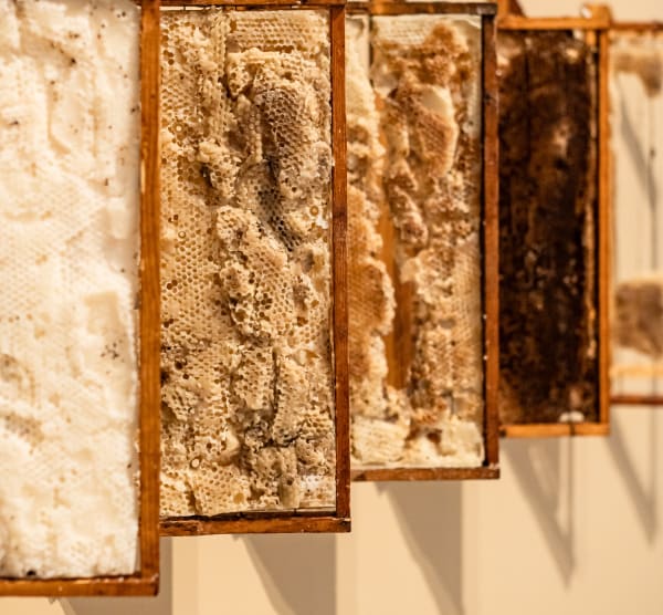 The Fragile Birth Of Fire SEEN/SCENE III