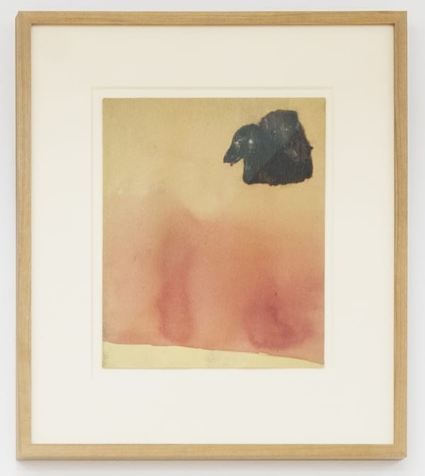RAE KLEIN, Paranoia, 2021
