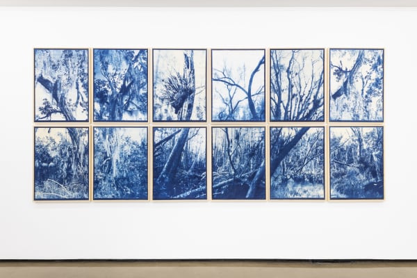 KRISTINA CHAN & ITAMAR FREED, Dreams In Blue, 2019