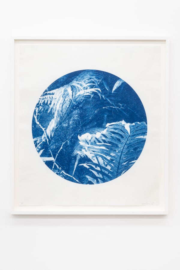 KRISTINA CHAN & ITAMAR FREED, Aloe Vera I, 2019