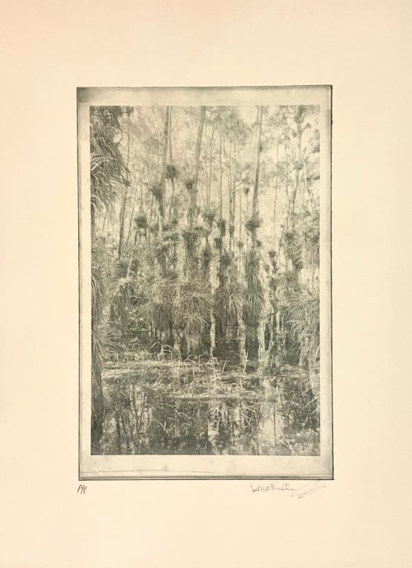 KRISTINA CHAN & ITAMAR FREED, Cypress Tree IV, 2019