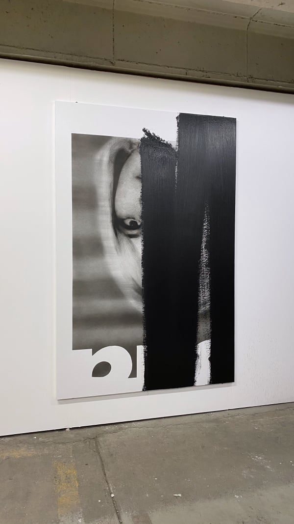 VALENTIN VAN DER MEULEN, Not Like This?, 2019