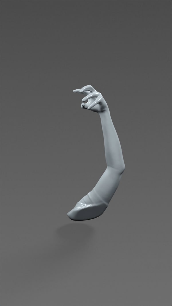 KIM NUIJEN, Selfie Hand Anatomy, 2018