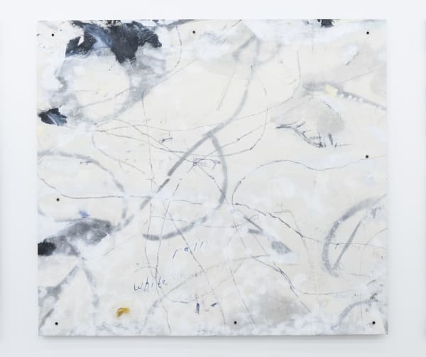 PETER MATTHEWS , White Rain, 2016