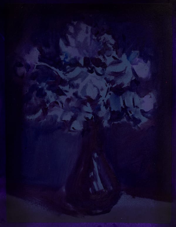 DANE LOVETT Flower Study I Fantin, 2017