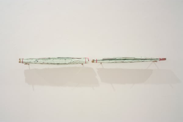GUILLERMO MORA, Gemelos [Twins], 2011
