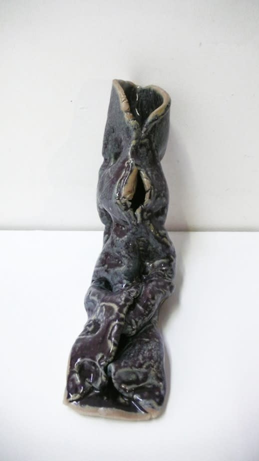 LUCIA PIZZANI, Capullo A4, 2013