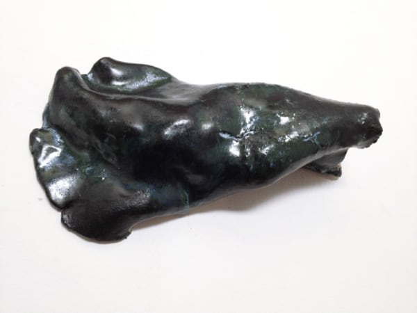 LUCIA PIZZANI, Capullo A2, 2014