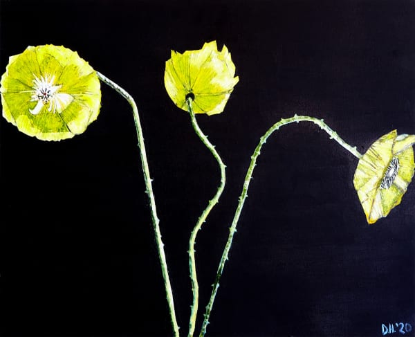 three yellow flowers on a black background