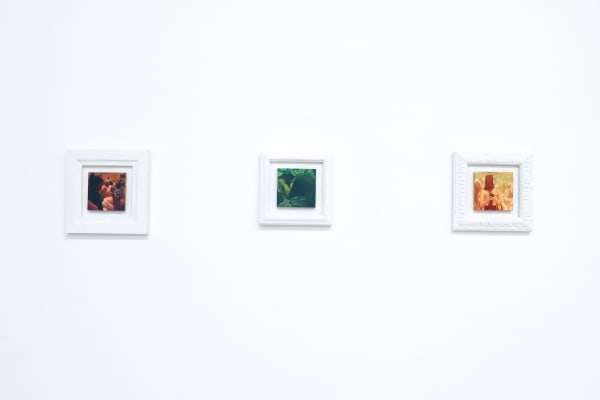 Unvail Daydream 4599