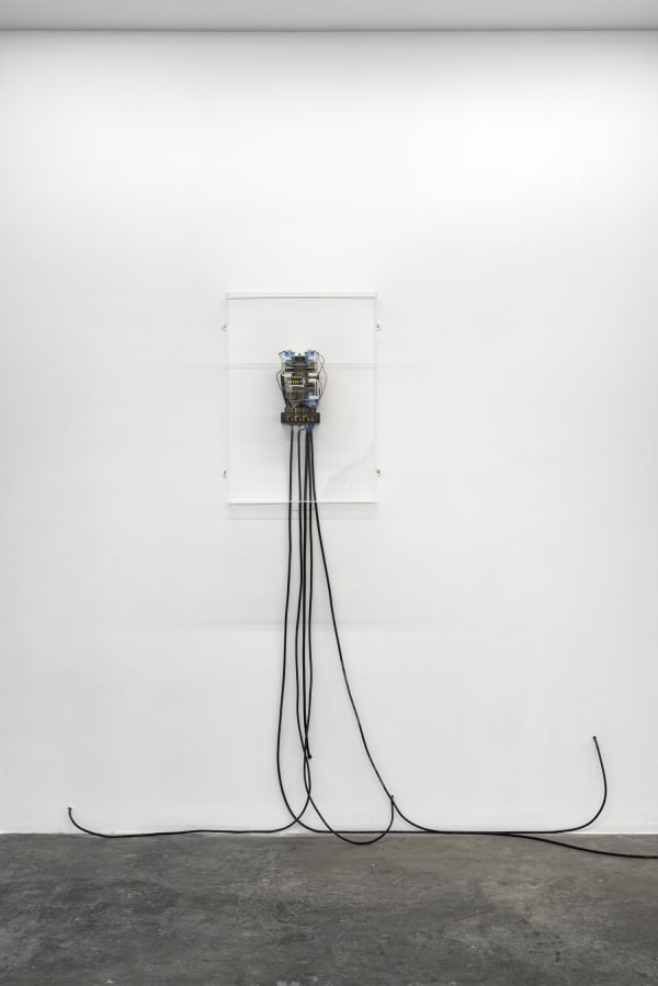 Burak Kabadayı, A Life Of Its Own Kind, 2022