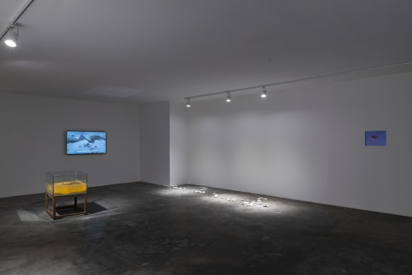 Rocks And Winds Kerem Ozan Bayraktar Sanatorium 2019 7