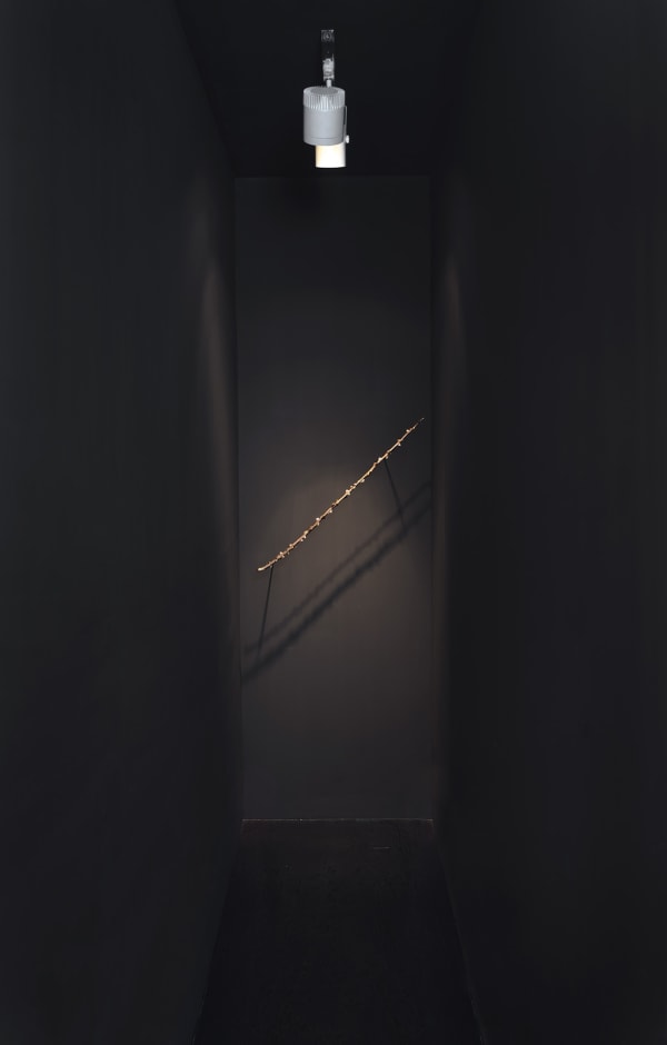 Ali I O Cal Sergileme 21