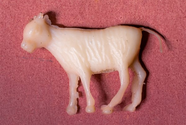 Evsiz Homeless 60X90Cm Orhan Cem Etin 2016