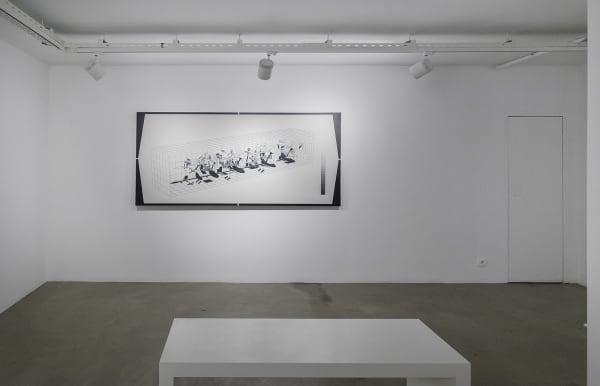 Aral K 2013 Hyphologie 18