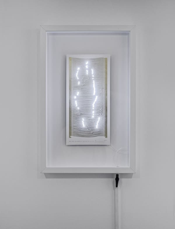 Aral K 2013 Hyphologie 19