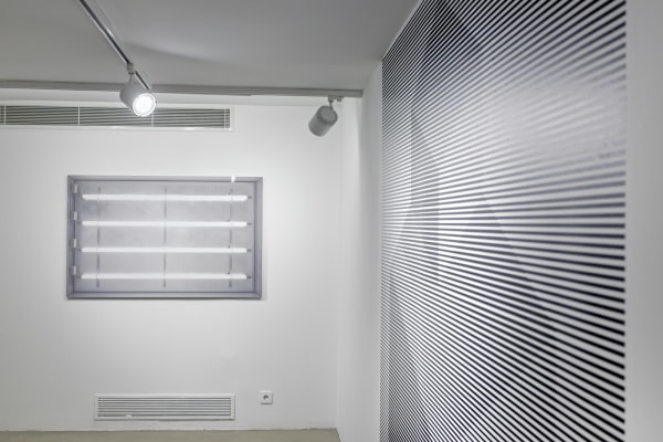 Aral K 2013 Hyphologie 2 Of 4