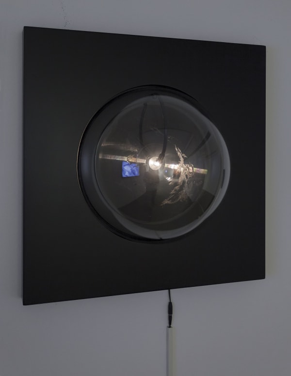 Aral K 2013 Hyphologie 22