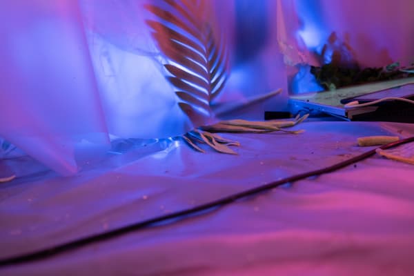 Spirits on the Ground