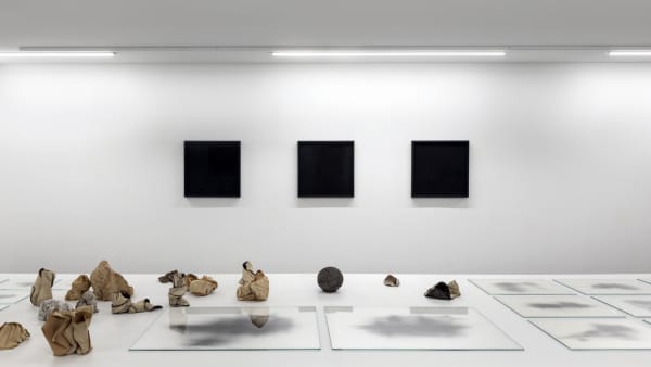 Daireler Çizerek Sürekli Uçuyorlardı