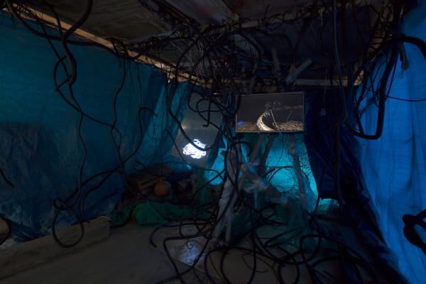 Argonotlar - Busan Biennale Sea Art Festival