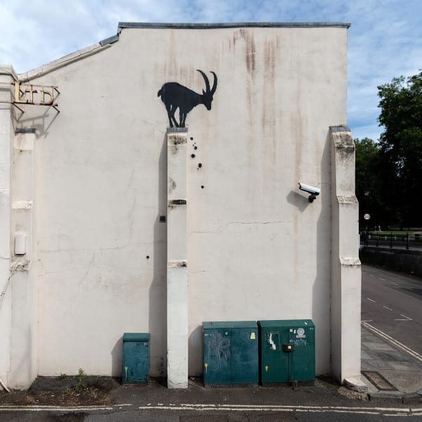 Banksy’s 2024 GOAT artwork from his animal series, bold and imaginative street art depiction.