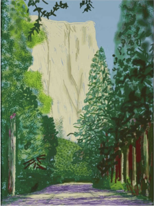 10 March 2023 David Hockney Yosemite II (Large Format) Christies New York Estimate: 200,000 - 300,000 USD 378,000 USD Premium