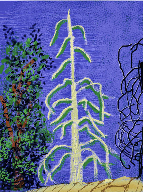 9 March 2022 David Hockney Yosemite No. 14 Christie's New York Estimate: $70,000 - $100,000 88,200 USD Premium