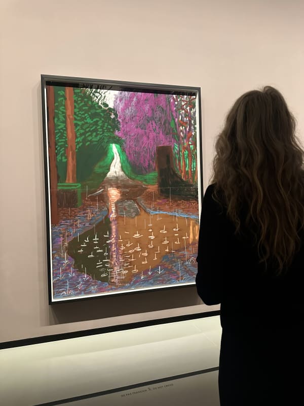 HOCKNEY IPAD MARKET REPORT, HOW MUCH ARE IPAD DRAWINGS WORTH IN 2024?