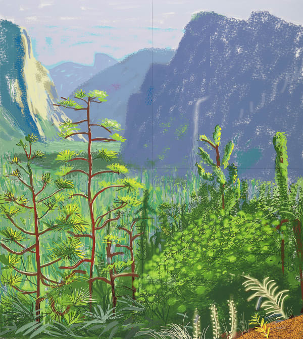 Yosemite Suite, iPad drawings 2010 - 2011