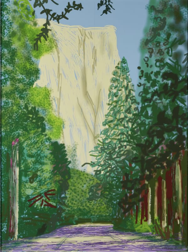 Yosemite Suite, IPAD DRAWINGS 2010 - 2011