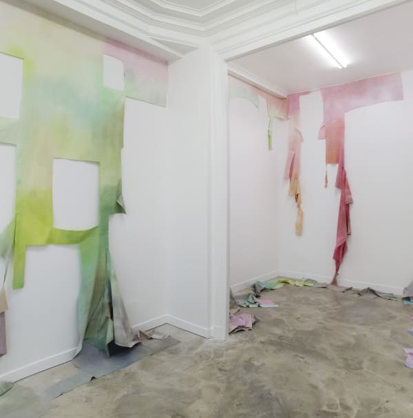 Galerie Pauline Pavec Flora Mosovici Vue Expo 2 13