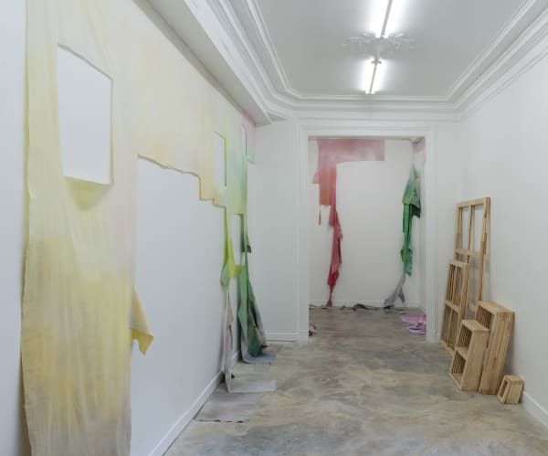 Galerie Pauline Pavec Flora Mosovici Vue Expo 2 2 Copie