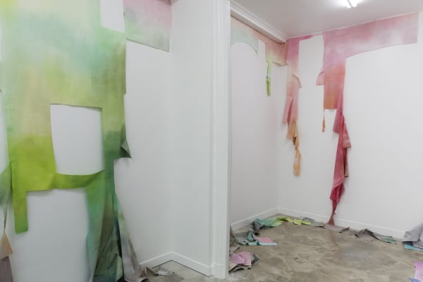 Galerie Pauline Pavec Flora Mosovici Vue Expo 2