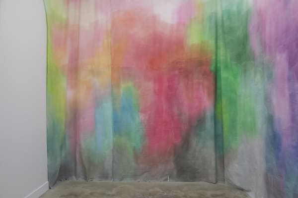 Galerie Pauline Pavec Flora Mosovici Vue 5 V2