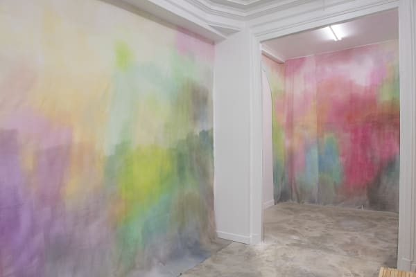 Galerie Pauline Pavec Flora Mosovici Vue V2