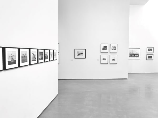 Hyman Collection Modern Nature Instal Hepworth Wakefield