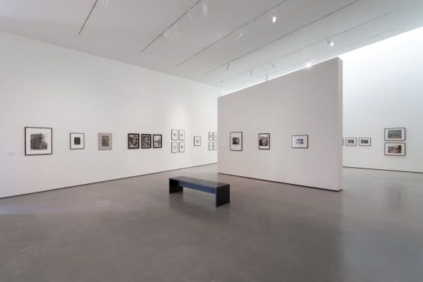 Modern Nature Hepworth Wakefield 02