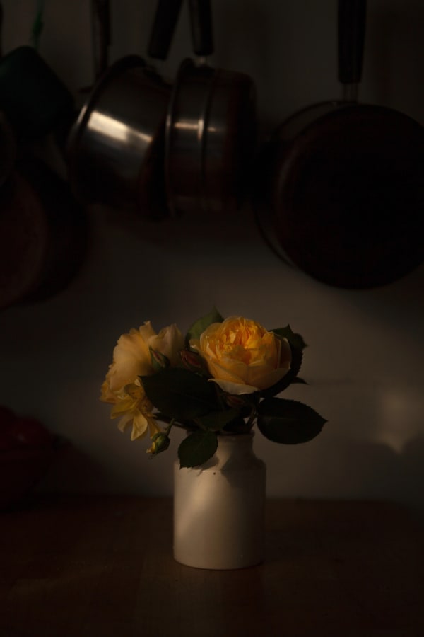 Celine Marchbank - 20th April, 2020, 2020