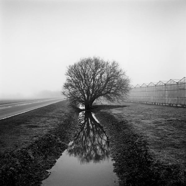 Paul Hart - Old Bedford River, 2018