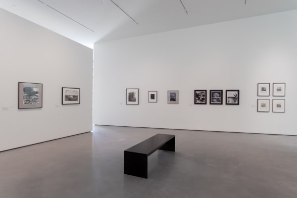 Modern Nature. Photographs from the Hyman Collection Hepworth Wakefield