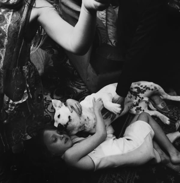 Ken Grant. No Pain Whatsoever