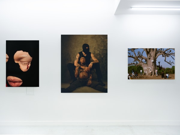 Vue D Ensemble Fifou 02 Copie