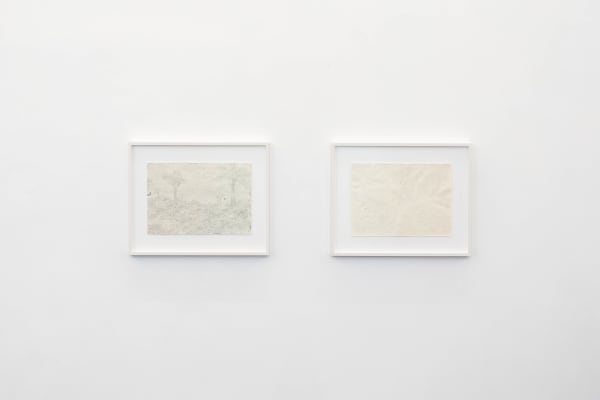 Pavedflowers Lvo 03195