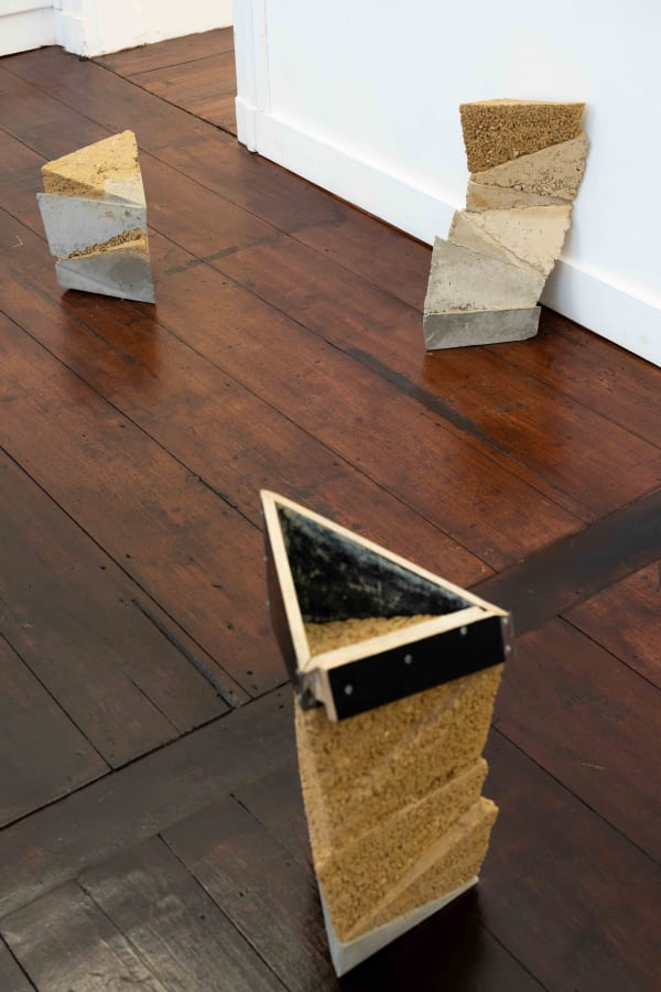 Pavedflowers Lvo 03348