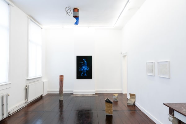 Pavedflowers Lvo 03436